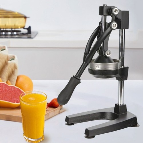 Hand press manual fruit juicer - press,
